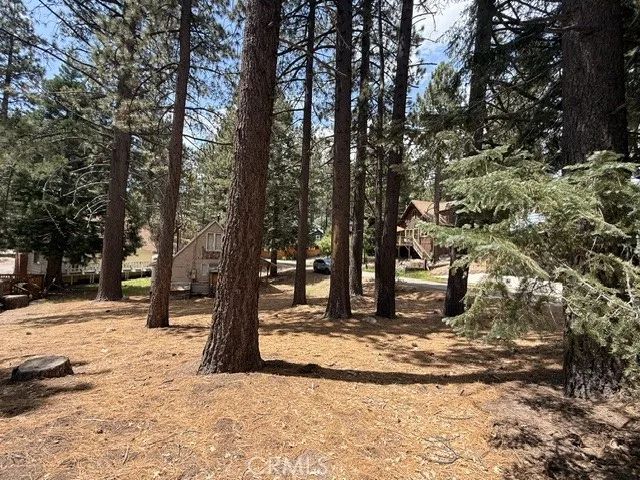 33390 Wild Rose, Green Valley Lake, CA 92341