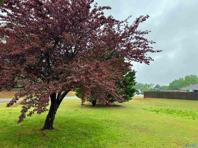 103 Balsam Poplar Way, Harvest, AL 35749