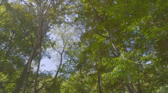 0 Mud Hollow Rd, Hendersonville, TN 37075