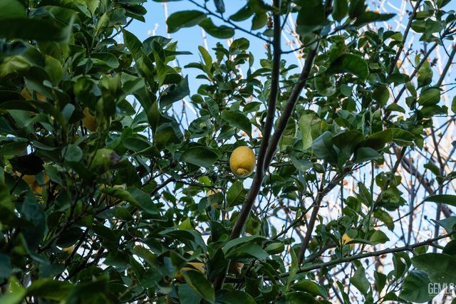 6119 Pilar Way, Bakersfield, CA 93306