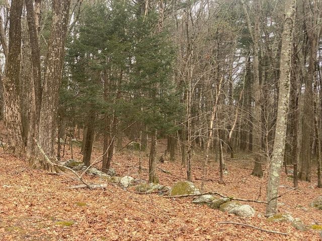 260 Elm St, Walpole, MA 02081