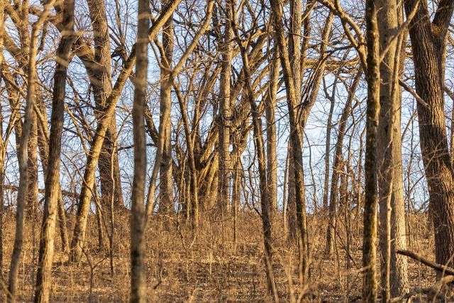 25733 Dempsey Road, Mclouth, KS 66054