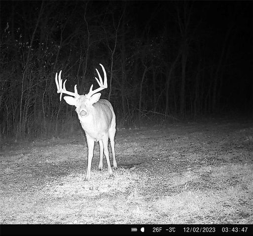 25733 Dempsey Road, Mclouth, KS 66054