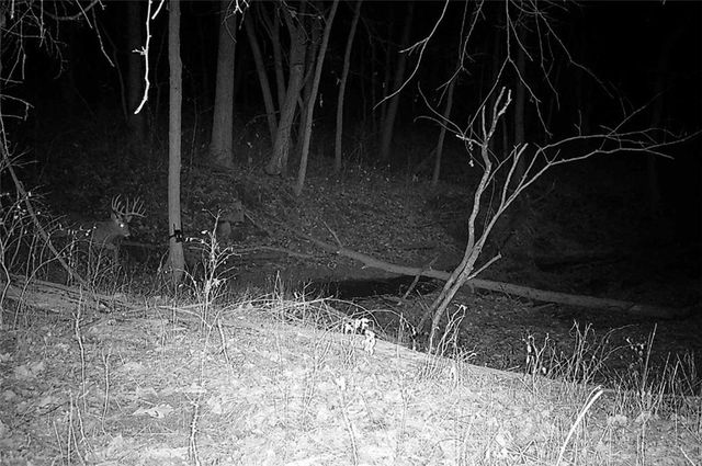 25733 Dempsey Road, Mclouth, KS 66054