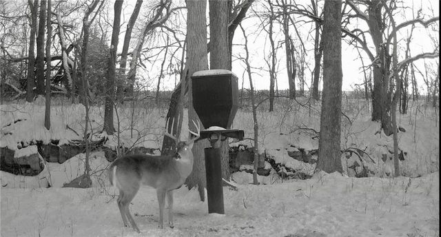 25733 Dempsey Road, Mclouth, KS 66054