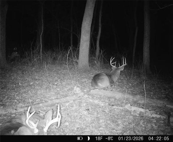 25733 Dempsey Road, Mclouth, KS 66054