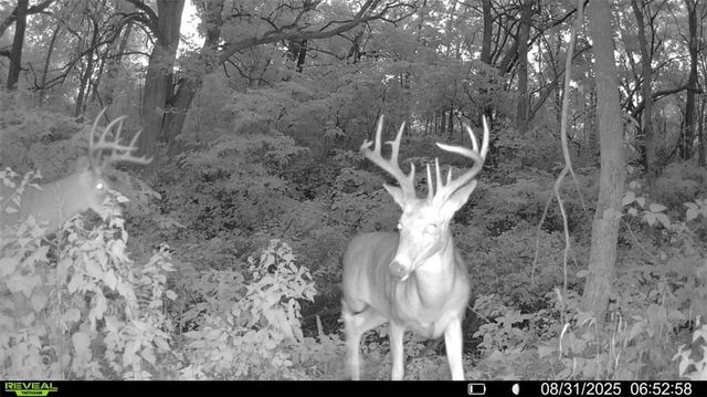 25733 Dempsey Road, Mclouth, KS 66054