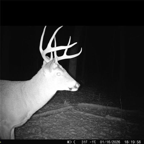 25733 Dempsey Road, Mclouth, KS 66054