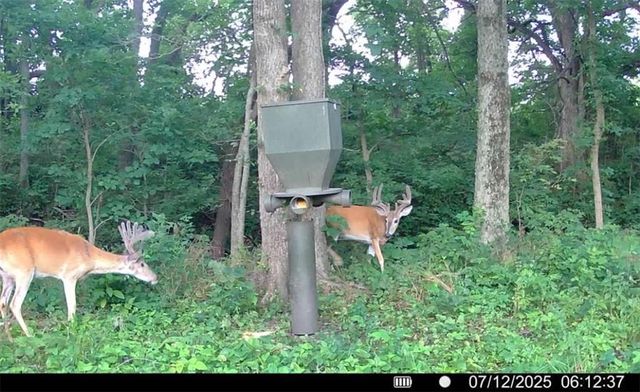 25733 Dempsey Road, Mclouth, KS 66054