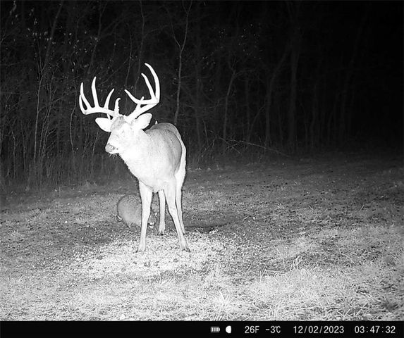 25733 Dempsey Road, Mclouth, KS 66054