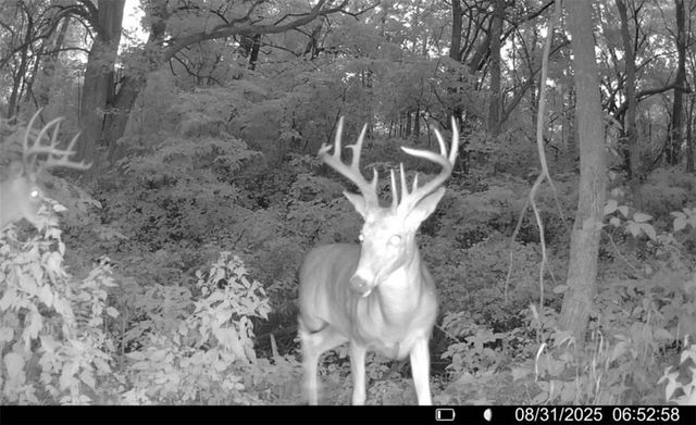 25733 Dempsey Road, Mclouth, KS 66054