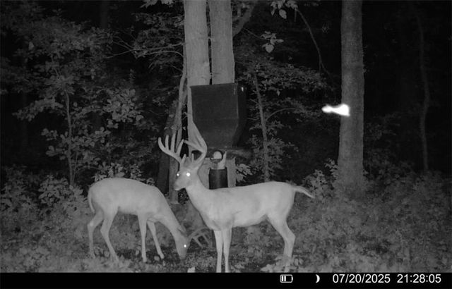 25733 Dempsey Road, Mclouth, KS 66054