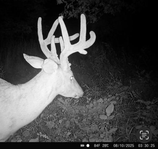 25733 Dempsey Road, Mclouth, KS 66054