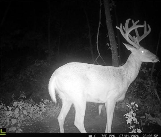 25733 Dempsey Road, Mclouth, KS 66054