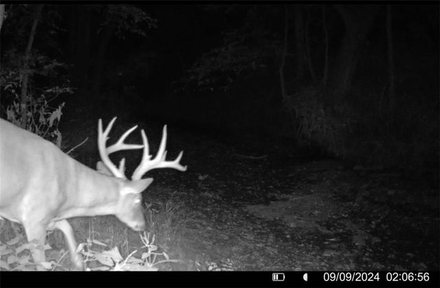 25733 Dempsey Road, Mclouth, KS 66054