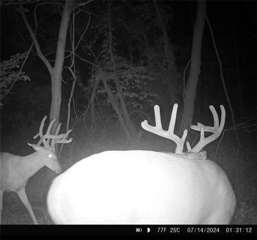 25733 Dempsey Road, Mclouth, KS 66054