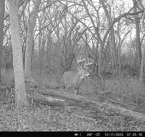 25733 Dempsey Road, Mclouth, KS 66054