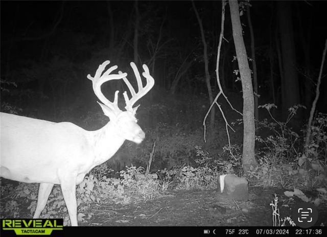 25733 Dempsey Road, Mclouth, KS 66054