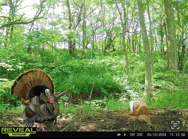 25733 Dempsey Road, Mclouth, KS 66054