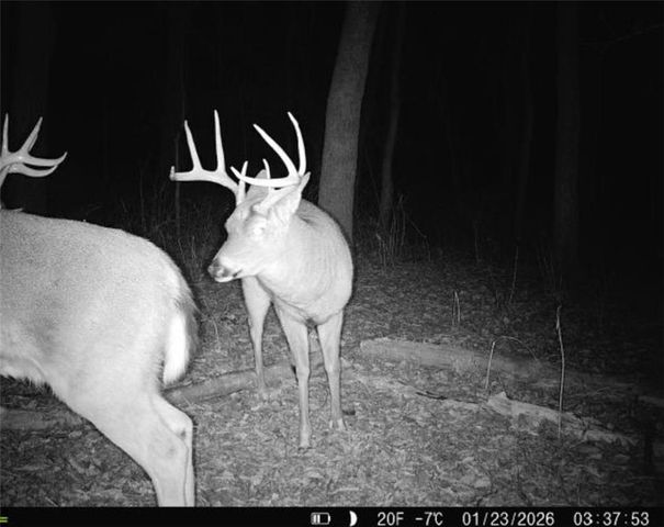 25733 Dempsey Road, Mclouth, KS 66054