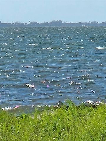 337 N SHORE DRIVE, Sarasota, FL 34234