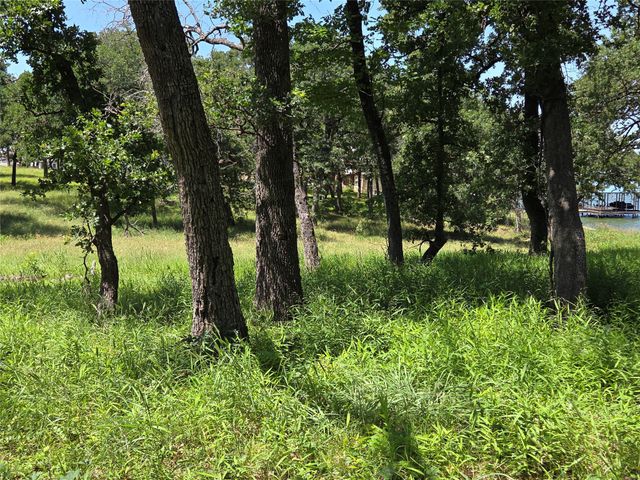 Lot 15R SE County Rd 2359b, Streetman, TX 75859