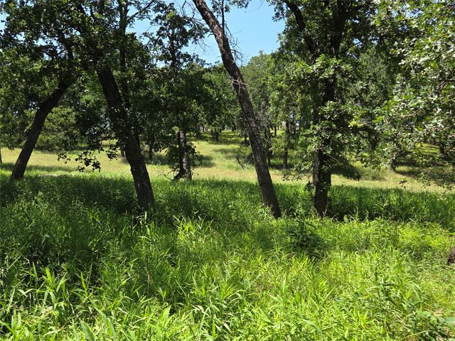 Lot 15R SE County Rd 2359b, Streetman, TX 75859