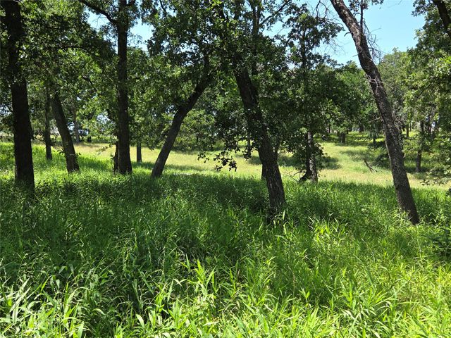 Lot 15R SE County Rd 2359b, Streetman, TX 75859