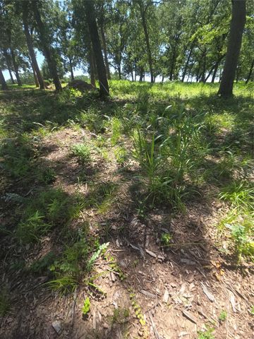 Lot 15R SE County Rd 2359b, Streetman, TX 75859