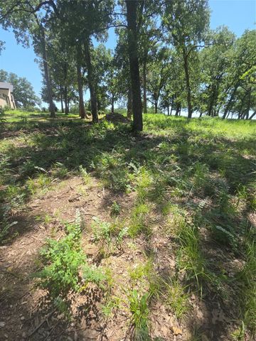 Lot 15R SE County Rd 2359b, Streetman, TX 75859