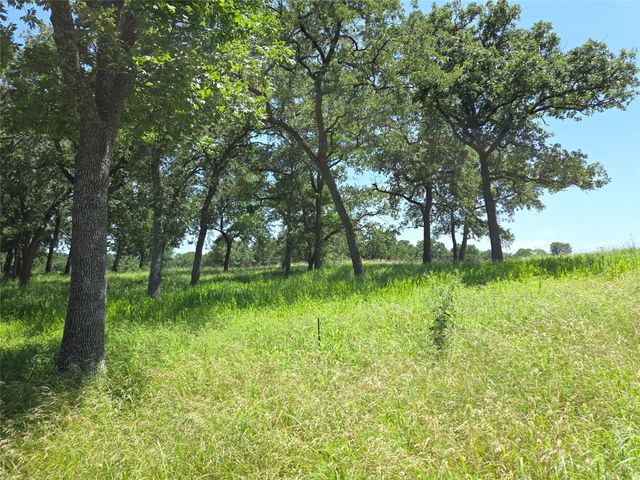 Lot 15R SE County Rd 2359b, Streetman, TX 75859