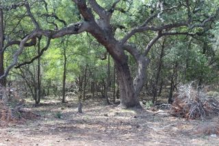 151 eden ranch, Canyon Lake, TX 78133