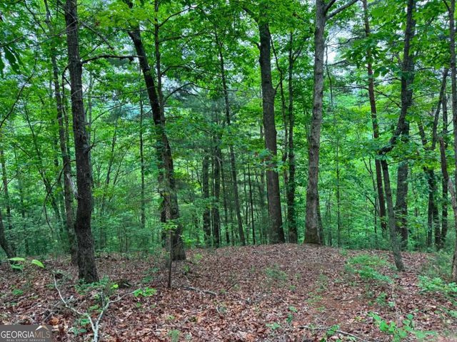 1674A Hunter Drive, Ranger, GA 30734