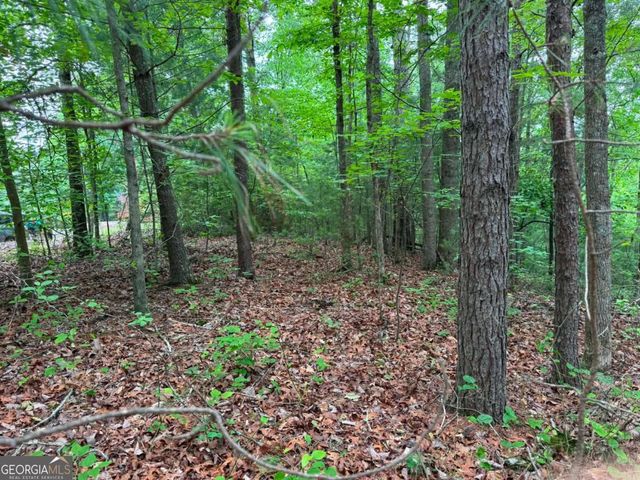 1674A Hunter Drive, Ranger, GA 30734
