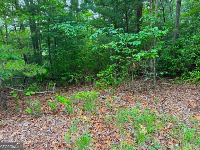 1674A Hunter Drive, Ranger, GA 30734