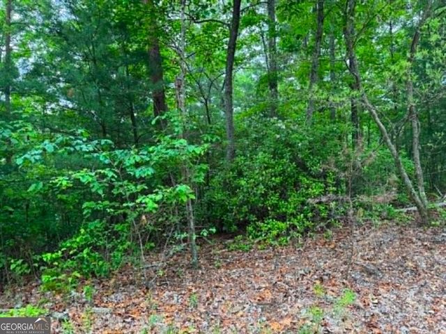 1674A Hunter Drive, Ranger, GA 30734