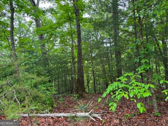 1674A Hunter Drive, Ranger, GA 30734