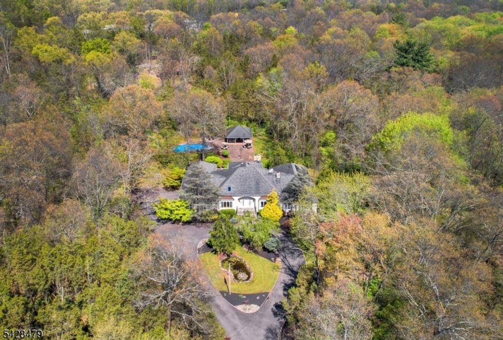 55 Janelle Ct, Bedminster Twp., NJ 07921