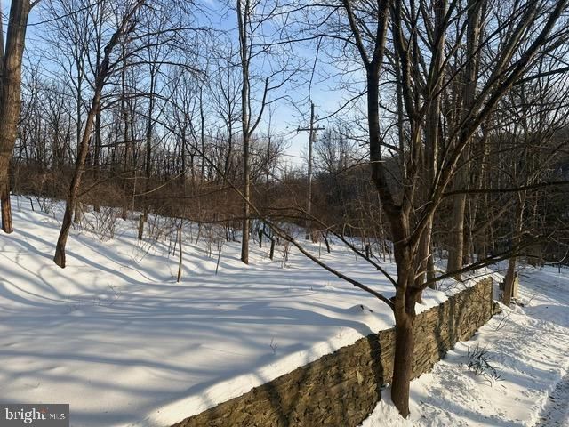 696 DUNKELS CHURCH RD, Kutztown, PA 19530