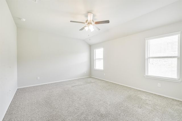 13932 Payette Arbor Court, Conroe, TX 77384