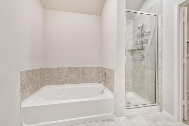 13932 Payette Arbor Court, Conroe, TX 77384