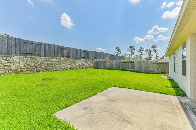 13932 Payette Arbor Court, Conroe, TX 77384
