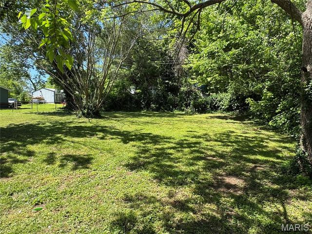 713 Wood Street, Leadwood, MO 63653