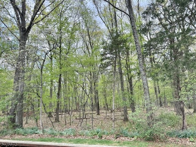 4 Scaletti Ct, Franklin Twp., NJ 08873