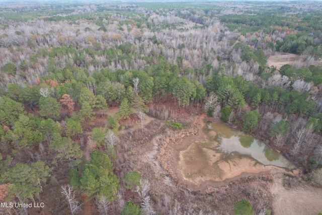 3960 Ms-16, Canton, MS 39046