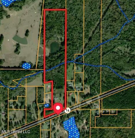 3960 Ms-16, Canton, MS 39046