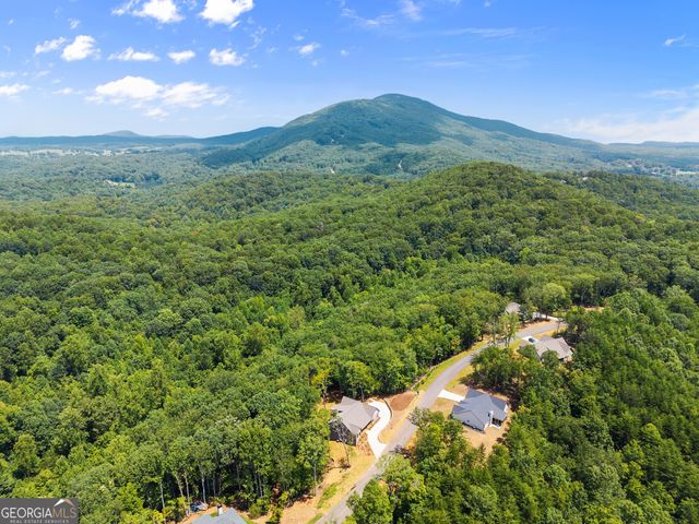 148 Chimney Ridge, Cleveland, GA 30528