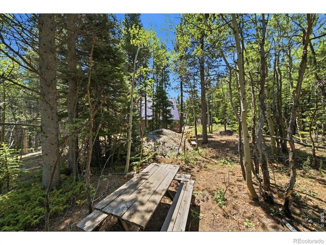 225 Mills Moraine Drive, Estes Park, CO 80517