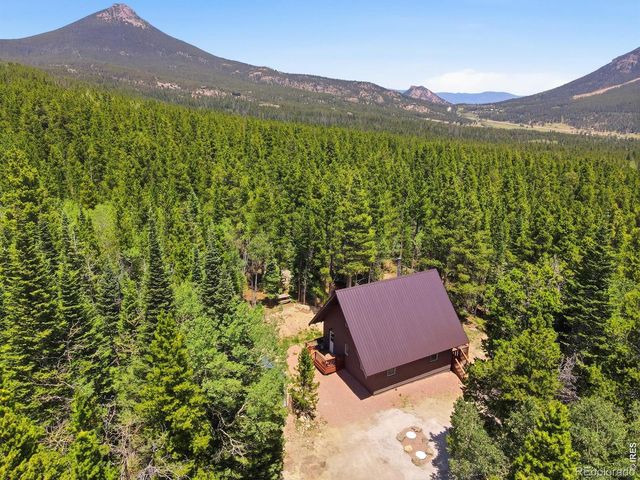 225 Mills Moraine Drive, Estes Park, CO 80517