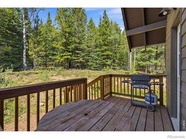 225 Mills Moraine Drive, Estes Park, CO 80517